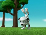 Replay Paw Patrol, la Pat'Patrouille - La Super Patrouille, Puissance Maximale : L'attaque des trois super méchants