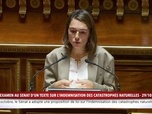 Replay 100% Sénat - Catastrophes naturelles : Le Sénat adopte à l'unanimité un texte sur leur indemnisation