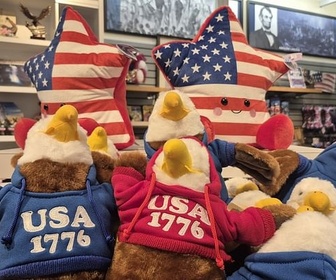 Replay 250e anniversaire de l'indépendance des États-Unis - L'Amérique divisée fête ses 250 ans