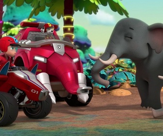 Replay Paw Patrol, la Pat'Patrouille - Mission Jungle : Vicky et la boule en or