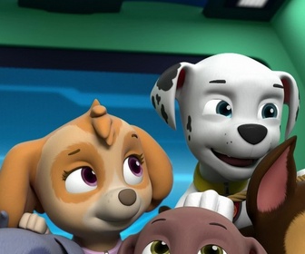 Replay Paw Patrol, la Pat'Patrouille - Mission secrète : La calèche royale