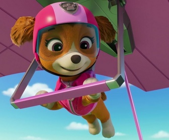 Replay Paw Patrol, la Pat'Patrouille - Sur la route avec Stella : Le Parc de l'Os dOr