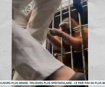 Replay Un jour, un doc - Toujours plus grand, toujours plus spectaculaire : le pari fou du plus beau zoo d'Europe (1/2)