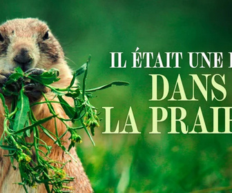 Replay Il était une fois dans la prairie