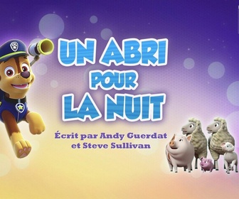 Replay Paw Patrol, la Pat'Patrouille - Un abri pour la nuit