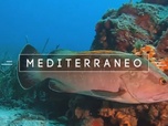 Replay Mediterraneo