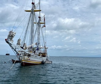 Replay Les pinisis d'Indonésie, l'art de construire des bateaux - 360° Reportage