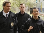 Replay NCIS - S8 E23 - Le chant du cygne