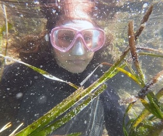 Replay Aux Baléares, sauver les herbiers marins - ARTE Regards