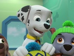 Replay Paw Patrol, la Pat'Patrouille - La leçon de snowboard