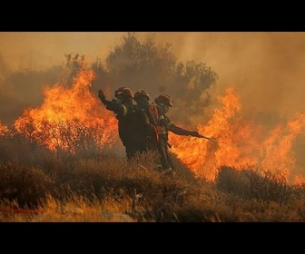 Replay Feu de forêts : l'équivalant de la surface du Luxembourg est déjà parti en fumée, 2025 est-elle...