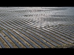 Replay En Chine, la production électrique solaire dépasse pour la première fois celle du charbon