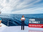 Replay Le 1245 du 20/09/2025