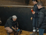 Replay Vies de famille - 23/10/2026