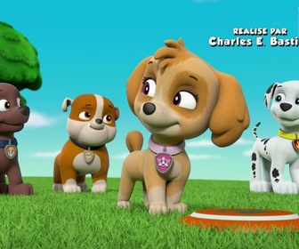 Replay Paw Patrol, la Pat'Patrouille - Dans la peau de Galinetta