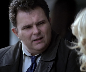Replay Cold case : affaires classées - S2E18 - Chiennes de vies