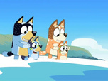 Replay Bluey - 01/07/2026