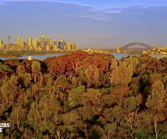 Replay Chercheurs d'opale - S8E20 - Décompte final