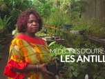 Replay Médecine d'outre-mer - Les Antilles - Médecines d'Outre-mer