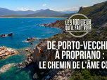 Replay Les 100 lieux qu'il faut voir - De Porto-Vecchio à Propriano : le chemin de l'âme corse