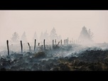 Replay Belgique : l'incendie des Hautes Fagnes est encerclé mais la situation reste compliquée