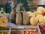 Replay 66 minutes - Au cœur de l'hôtel le plus dingue du monde
