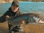 Replay Pêche XXL : derniers géants - Face aux ours