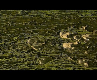 Replay Du lait aux algues, des algues aux champs : une alternative écologique aux engrais chimiques
