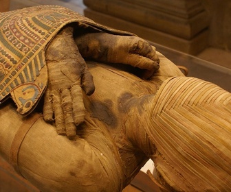 Replay Les trésors perdus d'Egypte - S4E4 - Chasseurs de momies
