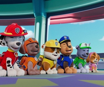 Replay Paw Patrol, la Pat'Patrouille - La grande tombola