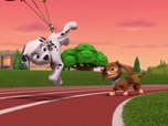 Replay Paw Patrol, la Pat'Patrouille - Les championnes de Pop Pop Boogie