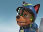Replay Paw Patrol, la Pat'Patrouille - L'os d'émeraude a disparu