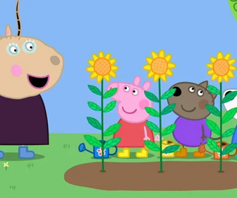 Replay Peppa Pig