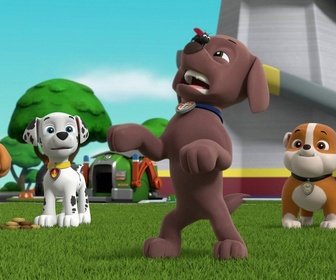 Replay Paw Patrol, la Pat'Patrouille - Eddie et Emmy se multiplient