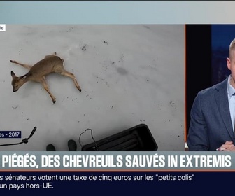 Replay BFM Première prématinale - Le break du mardi 2 décembre