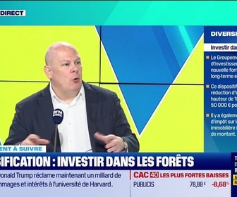 Replay Tout pour investir - Le placement à suivre : Diversification, investir dans les forêts - 03/02