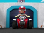 Replay Paw Patrol, la Pat'Patrouille - Alex et sa mini-patrouille