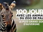 Replay 100 jours avec les animaux du Pal : le plus grand zoo d'Auvergne