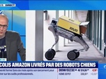 Replay Good Morning Business - Des colis Amazon livrés par des robots chiens