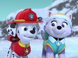 Replay Paw Patrol, la Pat'Patrouille - L'oursonne polaire
