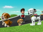 Replay Paw Patrol, la Pat'Patrouille - La surprise de Ryder