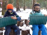 Replay Élément Terre, le reportage - Qu'il vente ou qu'il pleuve, des enfants de 4 à 8 ans ont école dans la forêt