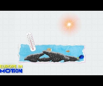 Replay Les mers d'Europe battent des records de température : sont-elles trop chaudes ?