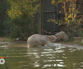 Replay Une saison au zoo - S12 E28