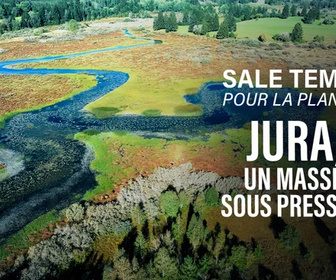 Replay Sale temps pour la planète - Jura, un massif sous pression
