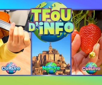 Replay Tfou d'Info du 29 avril 2026