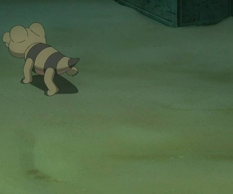 Replay Pokémon : les horizons - Chochodile groovy comme un Croco