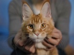 Replay L'hebdo des animaux - Episode 20