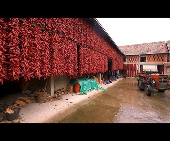 Replay Explorez le village rouge serbe de Donja Lokošnica et les tapis de Pirot classés à l'Unesco