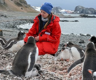 Replay Un an dans les glaces de l'Antarctique